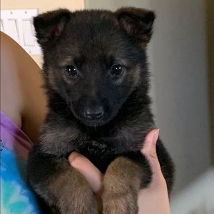 Meet your Posher, Hillary